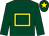 Dark green, yellow hollow box and star on cap (Equality Racing)
