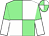 Light green and white (quartered), halved sleeves (Slabs And Lucan)