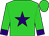 Lime green, purple star, purple cuffs (Vanessa Evans)