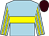 Light blue, yellow hoop, striped sleeves, brown cap (Mr A J Lockwood)
