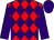 Red and purple checked diamonds, purple sleeves and cap (Mr Sarel Smit)