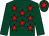 Dark green, red stars, dark green sleeves, dark green cap, red star (Hypnotised)