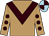 Light Brown, brown chevron, brown spots on sleeves, light blue and brown quartered cap (D P Racing Llc)