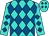 Turquoise with royal blue diamonds on sleeves (Cindy Cummins)