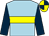 Light blue, yellow hoop, dark blue sleeves, dark blue & yellow quartered cap (T J & Mrs H Parrott Partnership)