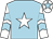 Light blue, white star, white and light blue chevrons on sleeves, white cap, light blue star (Jfs Racing & Geoff Harker)