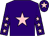 Purple, pink star, pink stars on sleeves, pink star on cap (Knockenduff Stud)