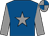 Royal blue, grey star, grey sleeves, grey and royal blue quartered cap (Stal Molenhof)