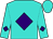 Turquoise, purple diamond, purple diamond on sleeves (James Chicklo)