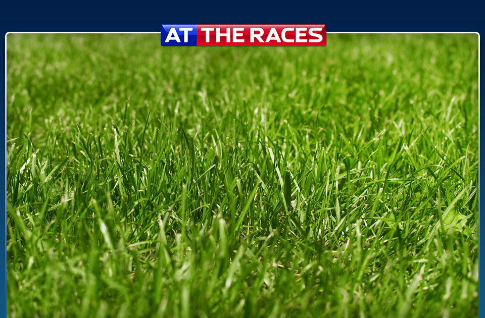 races uk and irish horse racing video form tips odds and at the races races uk and irish horse racing video form tips odds and at the races