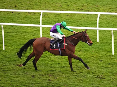 Horse-by-horse guide: Grimthorpe Chase