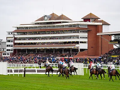 Friday horses to follow: Newbury
