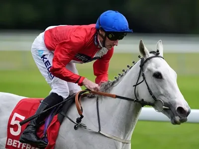 Horse-by-horse
