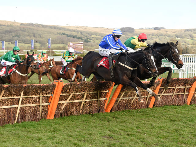 Penhill wins the Stayers' Hurdle Penhill wins the Stayers' Hurdle