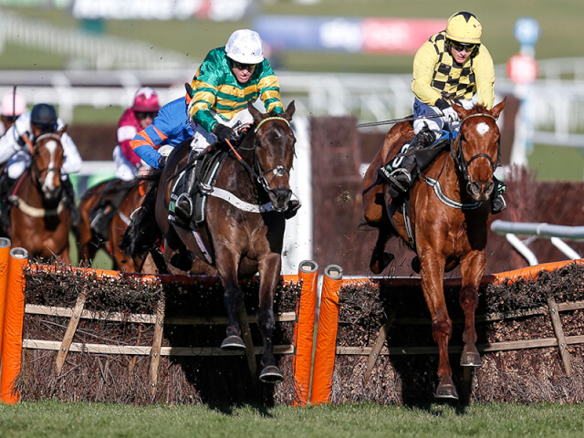 Buveur D'Air wins the Champion Hurdle Buveur D'Air wins the Champion Hurdle