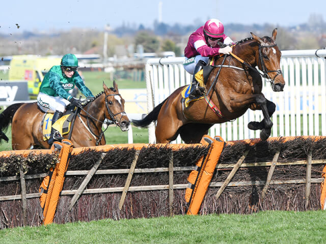 Identity Thief wins at Aintree Identity Thief wins at Aintree