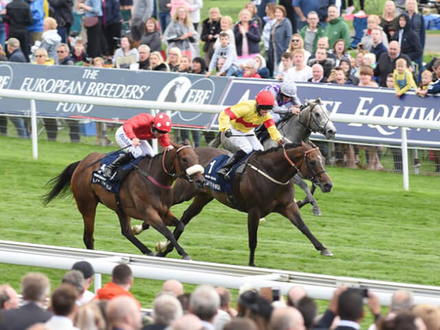 Nunthorpe Stakes Nunthorpe Stakes
