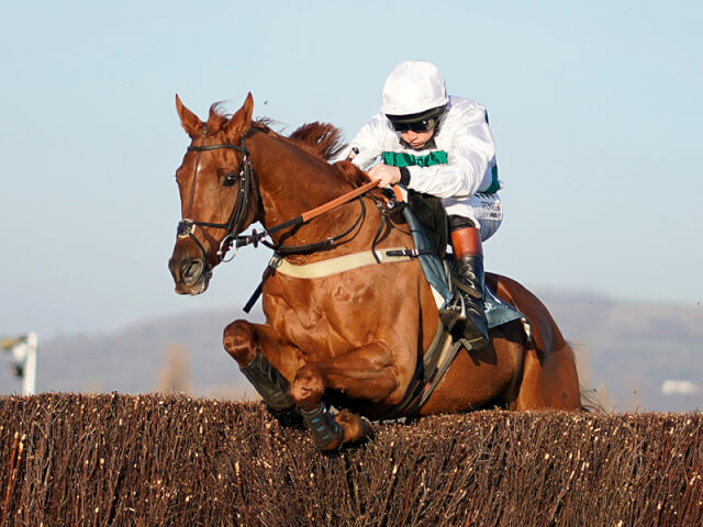 Baron Alco wins the BetVictor Gold Cup Baron Alco wins the BetVictor Gold Cup