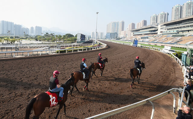 Sha Tin Trackwork Sha Tin Trackwork