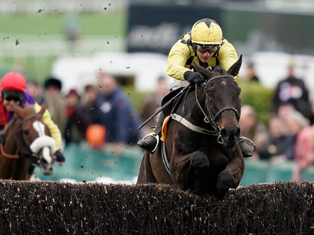 Al Boum Photo wins the 2019 Cheltenham Gold Cup Al Boum Photo wins the 2019 Cheltenham Gold Cup