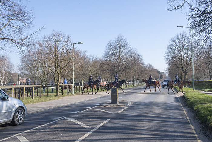 Horsewalk to and from Warren Hill. Horsewalk to and from Warren Hill.