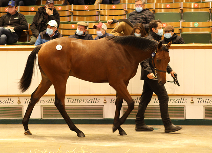 This Kingman half-brother to Galileo Gold topped the opening day at 2.7m guineas. This Kingman half-brother to Galileo Gold topped the opening day at 2.7m guineas.