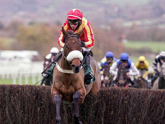 Coole Cody wins the Paddy Power Gold Cup Coole Cody wins the Paddy Power Gold Cup