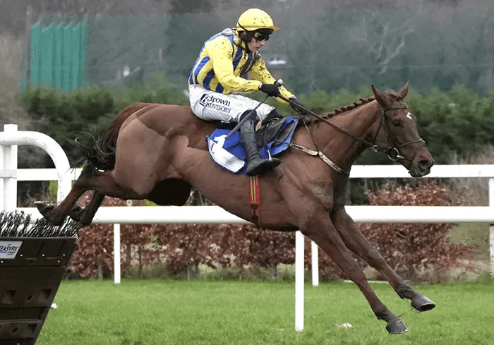 Doctor Steinberg Doctor Steinberg