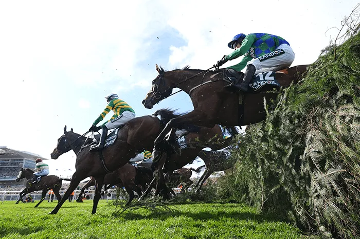 I Am Maximus - Grand National I Am Maximus - Grand National