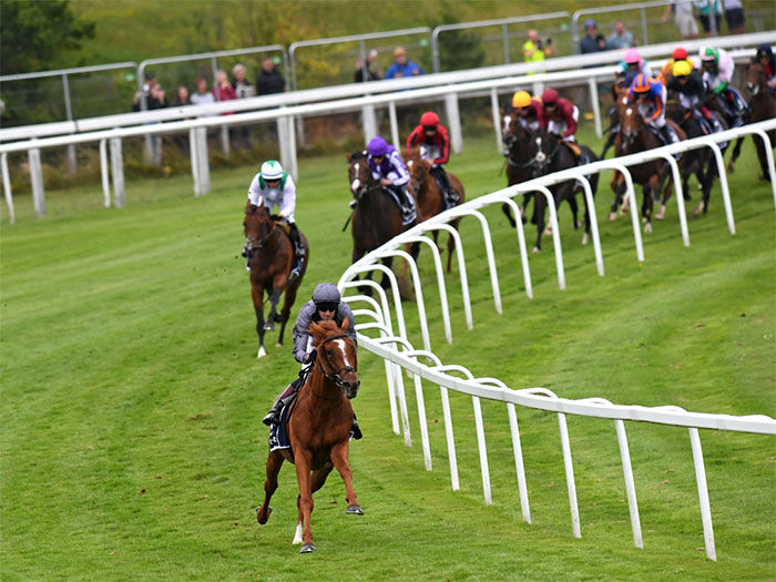 Serpentine wins the Derby at Epsom Serpentine wins the Derby at Epsom