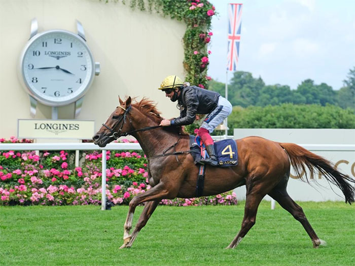 Stradivarius wins a third Gold Cup Stradivarius wins a third Gold Cup