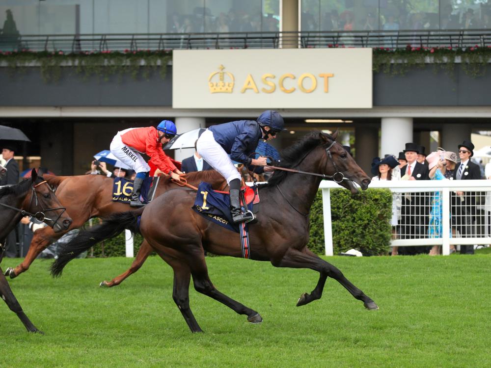 Ascot Winners Ascot Winners