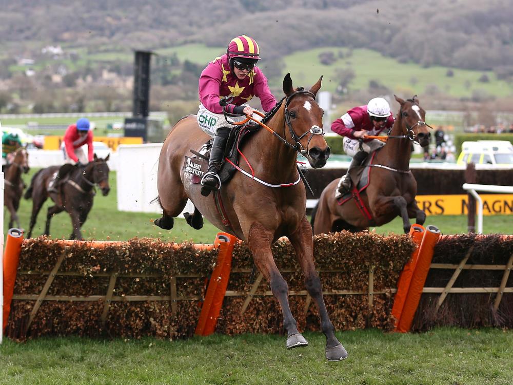 Winner Bet Promo Code Winner Bet Promo Code