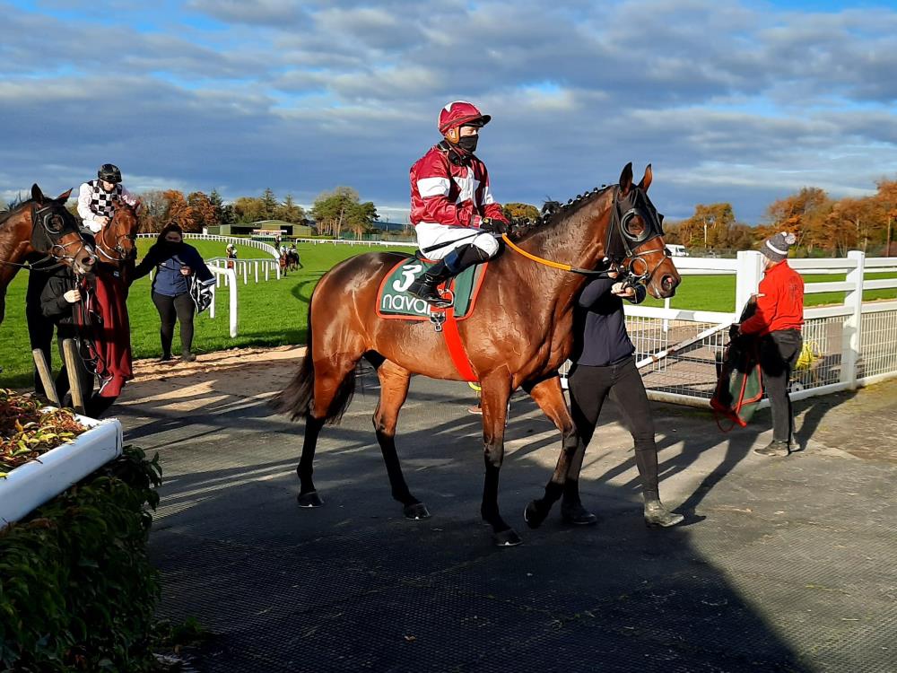 Tiger Roll Sixth On Flat Comeback At Navan At The Races
