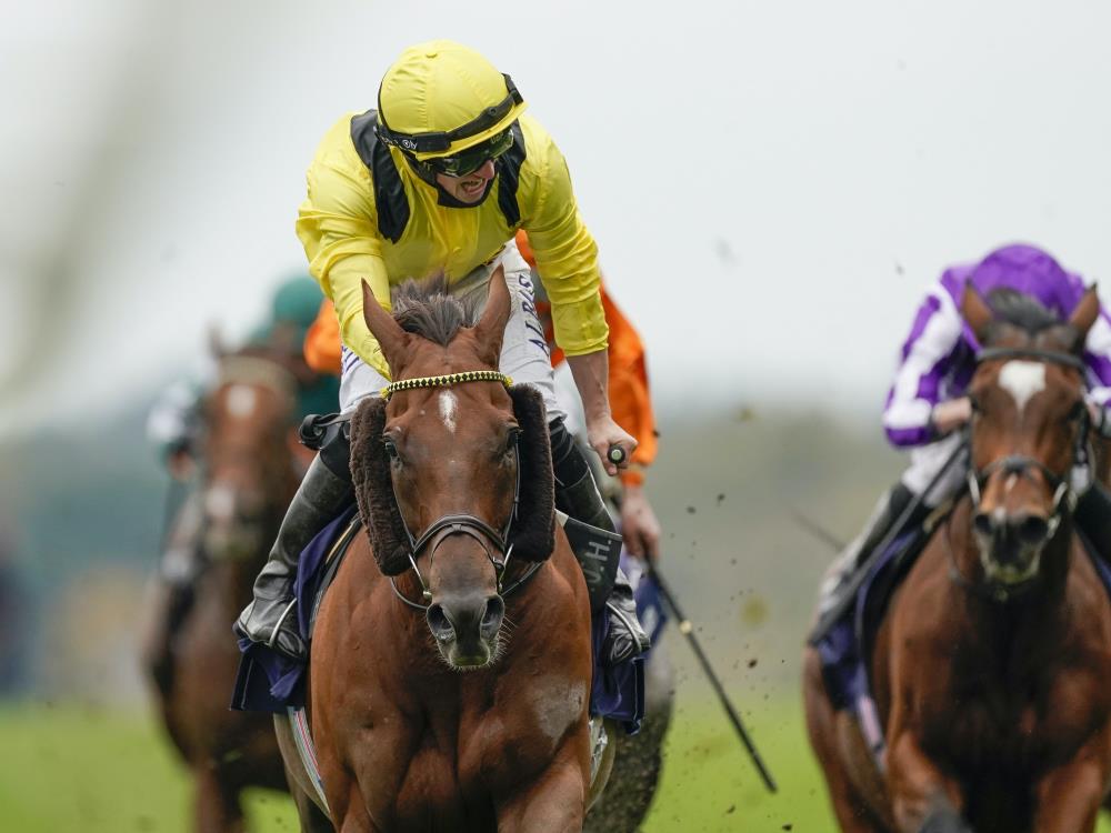 Ladbrokes games Ladbrokes games