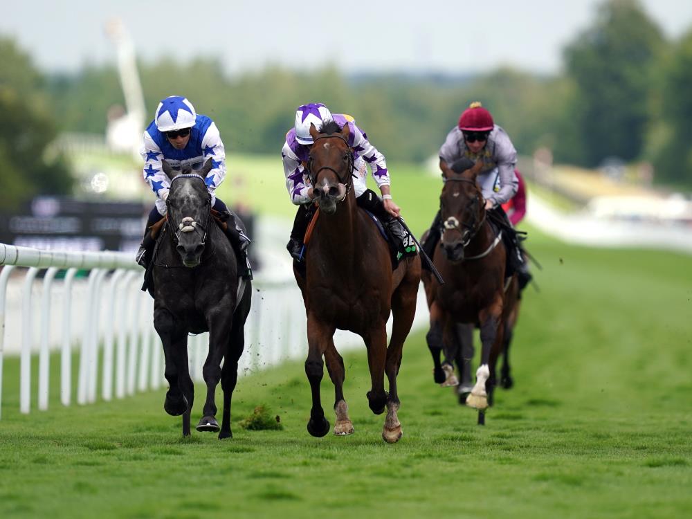 Inside Track At The Races