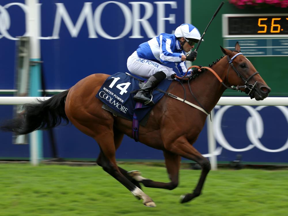 Kevin Blake At The Races