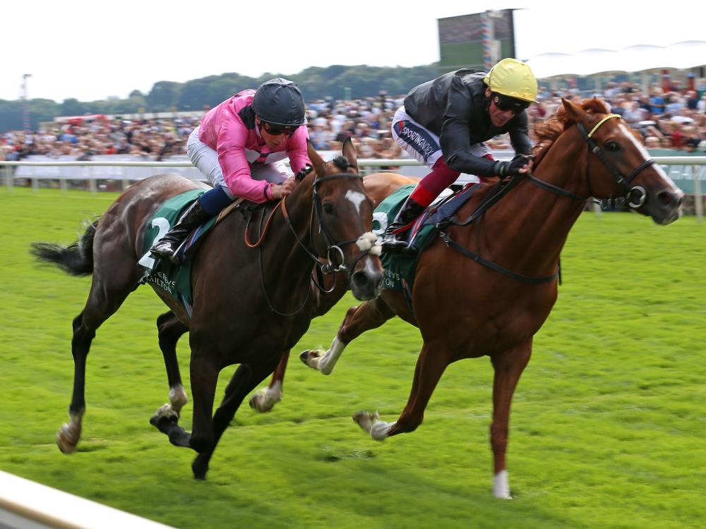 Kevin Blake At The Races