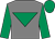 Grey, emerald green inverted triangle, sleeves and cap ()