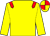 Yellow, red epaulets, quartered cap ()