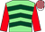 Light green, dark green chevrons, red sleeves, white and red striped cap ()
