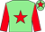 Light green, red star, sleeves and star on cap ()