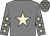 Grey, beige star, grey sleeves, beige stars and stars on cap ()