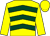 Yellow, dark green chevrons, yellow sleeves and cap (Valence Racing Too)