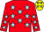Red, light blue stars, yellow cap, light blue stars (Mr Mark Adams)
