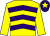 Yellow & purple chevrons, yellow sleeves, purple cap, yellow star (Mrs Christina Kelly)