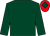 Dark green, red cap, dark green diamond (Sheikh Hamdan Bin Mohammed Al Maktoum)