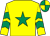Yellow, emerald green star & chevrons on sleeves, quartered cap (Sean F Gallagher)