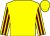Yellow, maroon striped sleeves (Multiplex Racing)