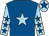 Royal blue, light blue star, light blue sleeves, royal blue stars, light blue cap, royal blue star (Mrs Y Mullin)